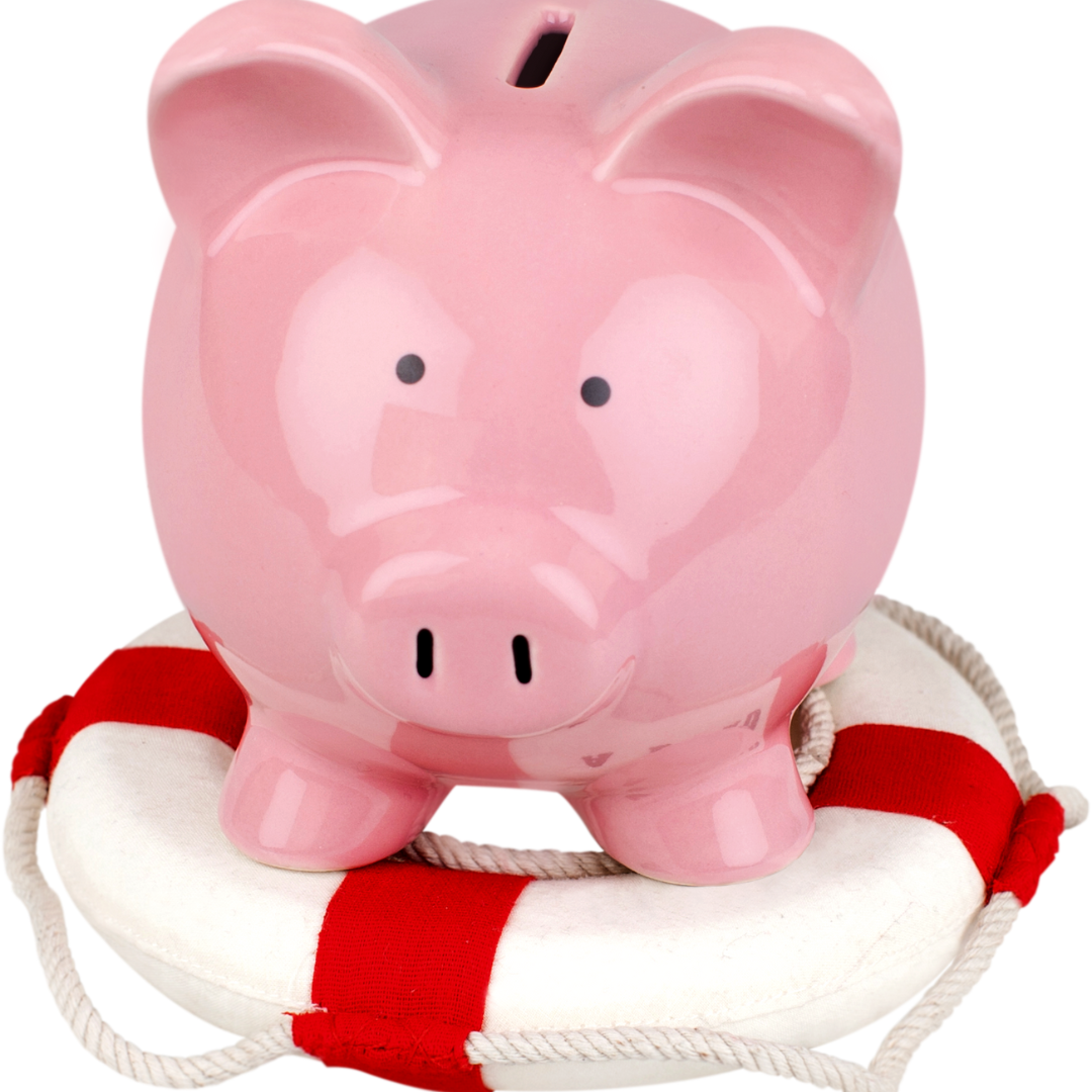 Healthy financial habits, expenses emergency fund